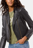 Leather Moto Jacket, Regular & Petite Sizes